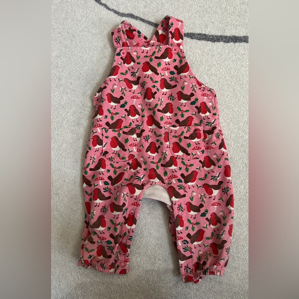 Charming Pink Bird Pattern Kids Overalls